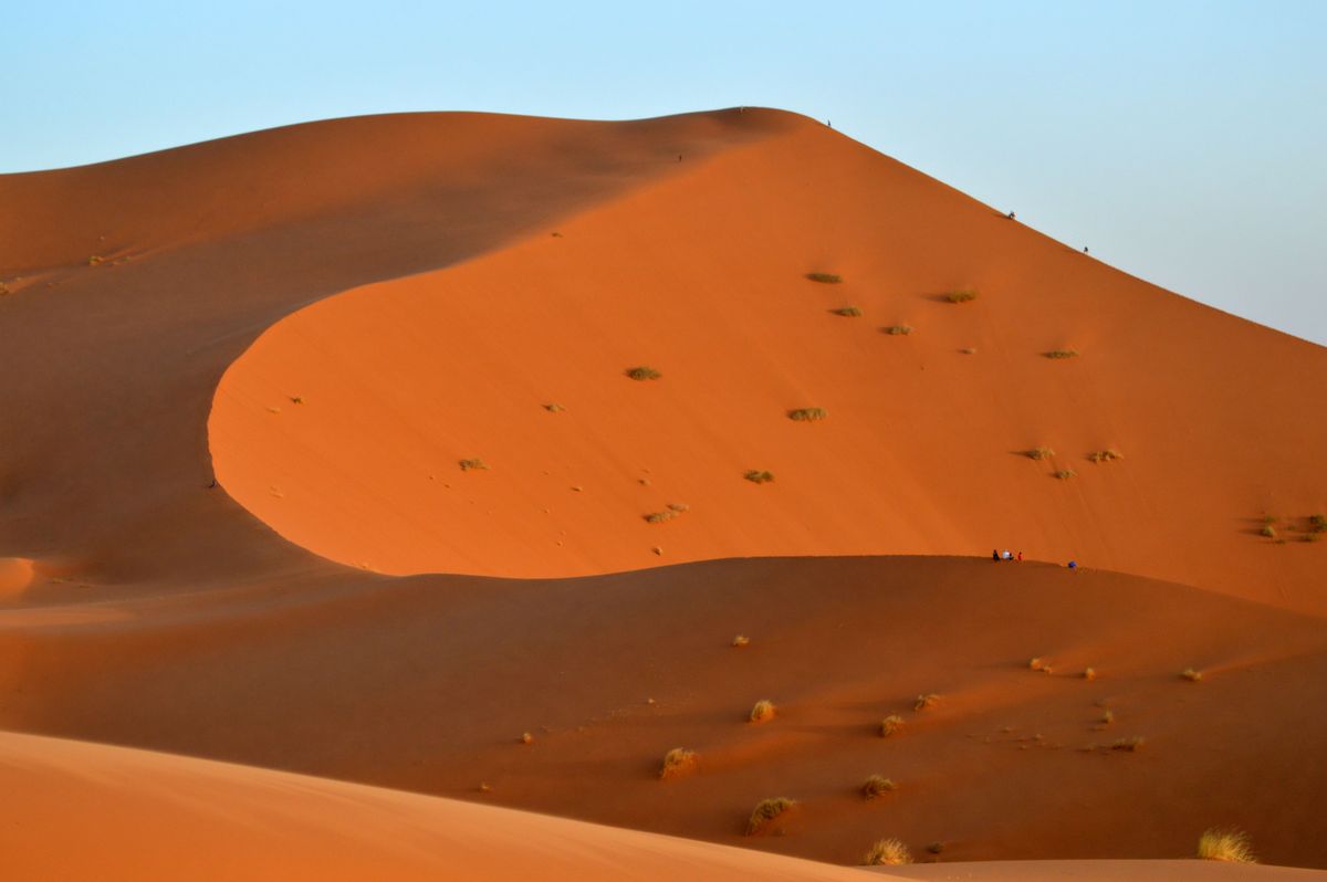 Caravana de dromedarios en el desierto