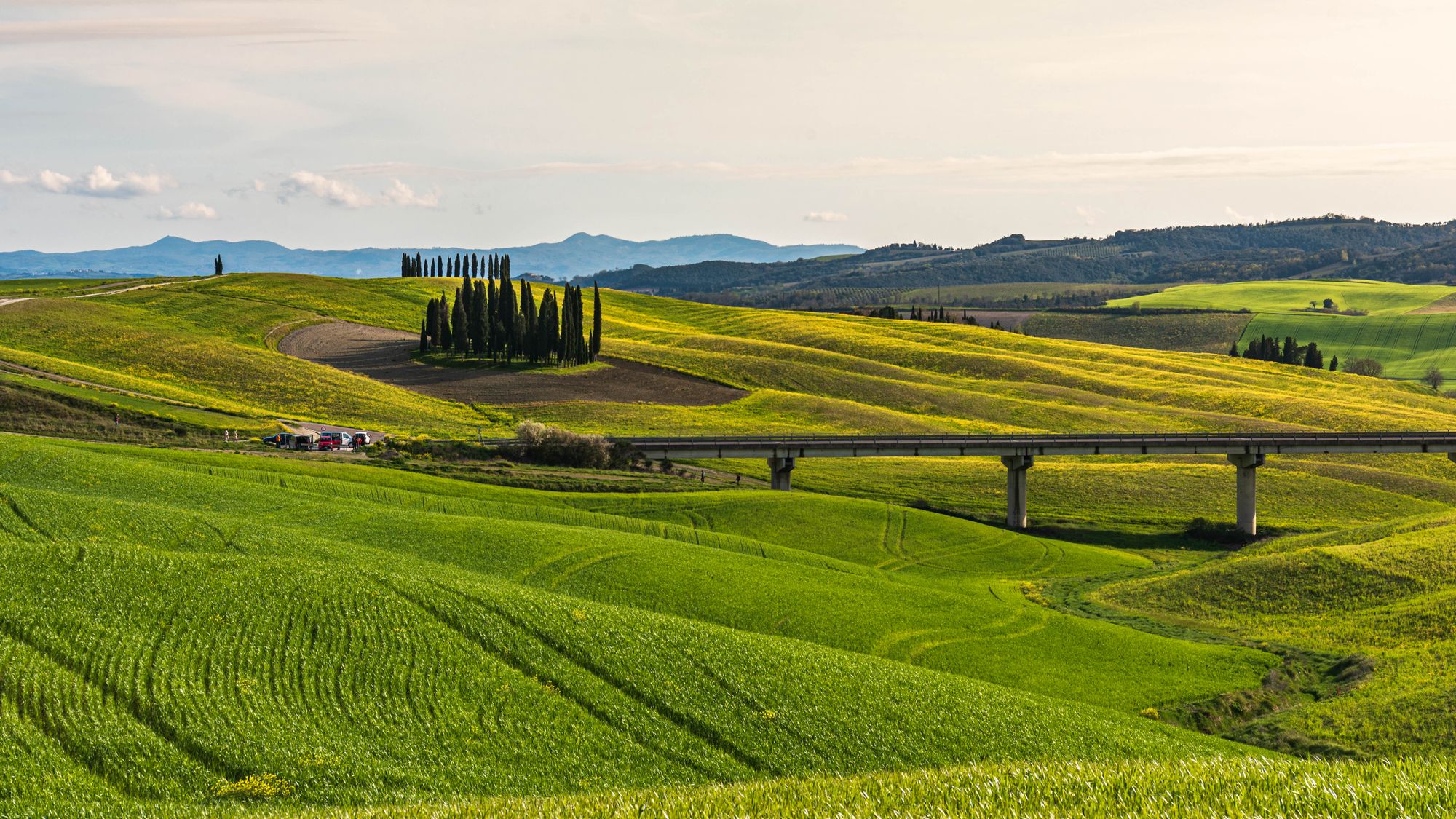 Campos verdes de la Vía Francigena
