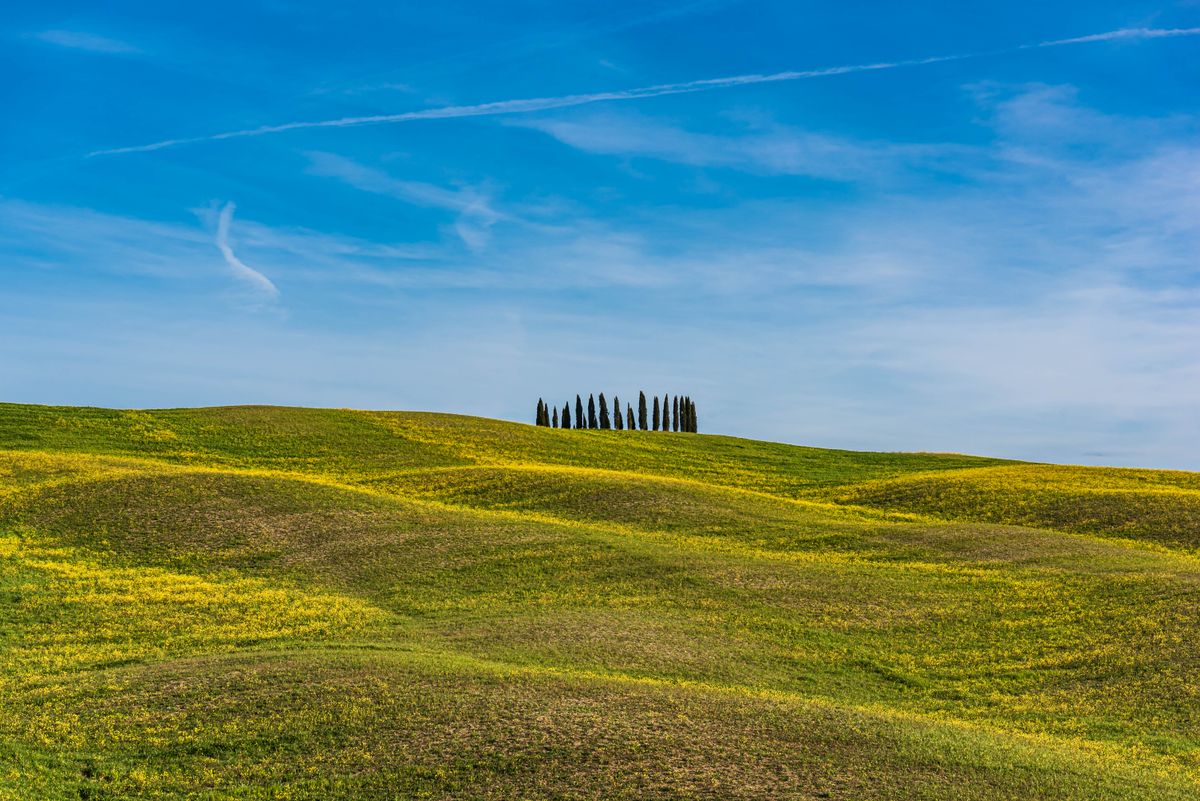 Campos verdes de la Toscana