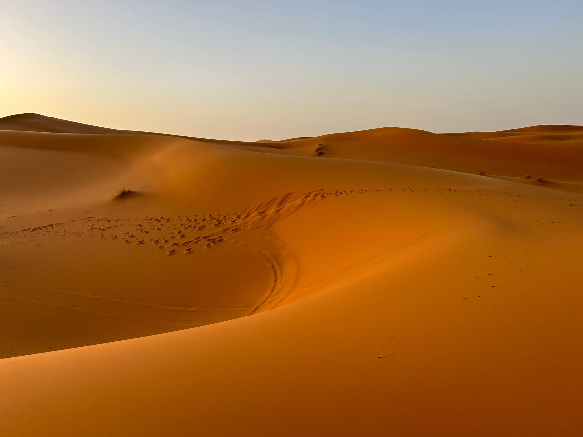 Desierto del Sáhara