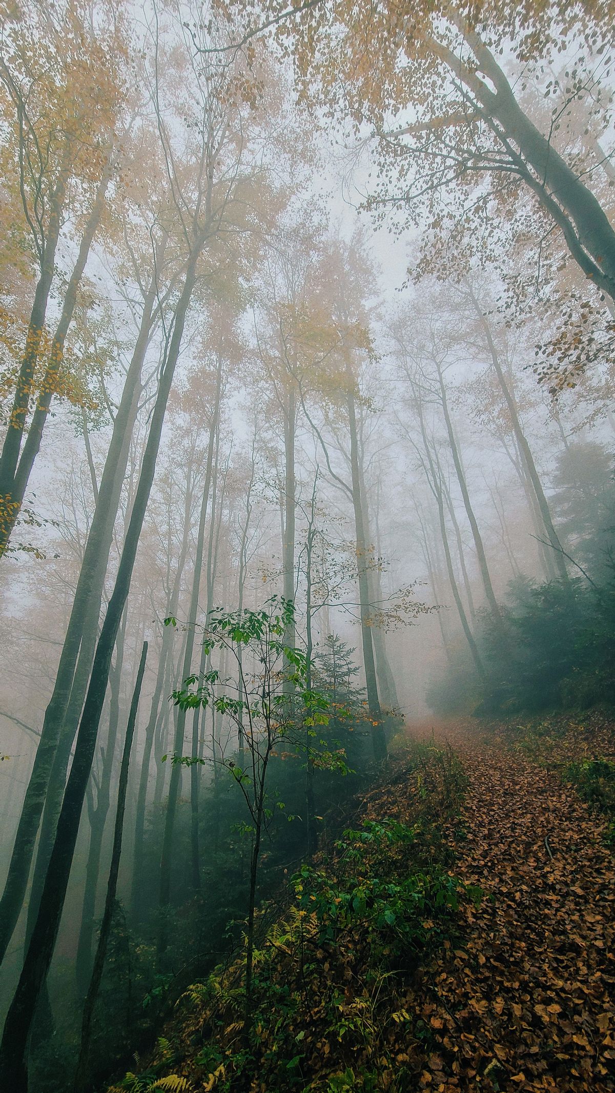 Atmosphere